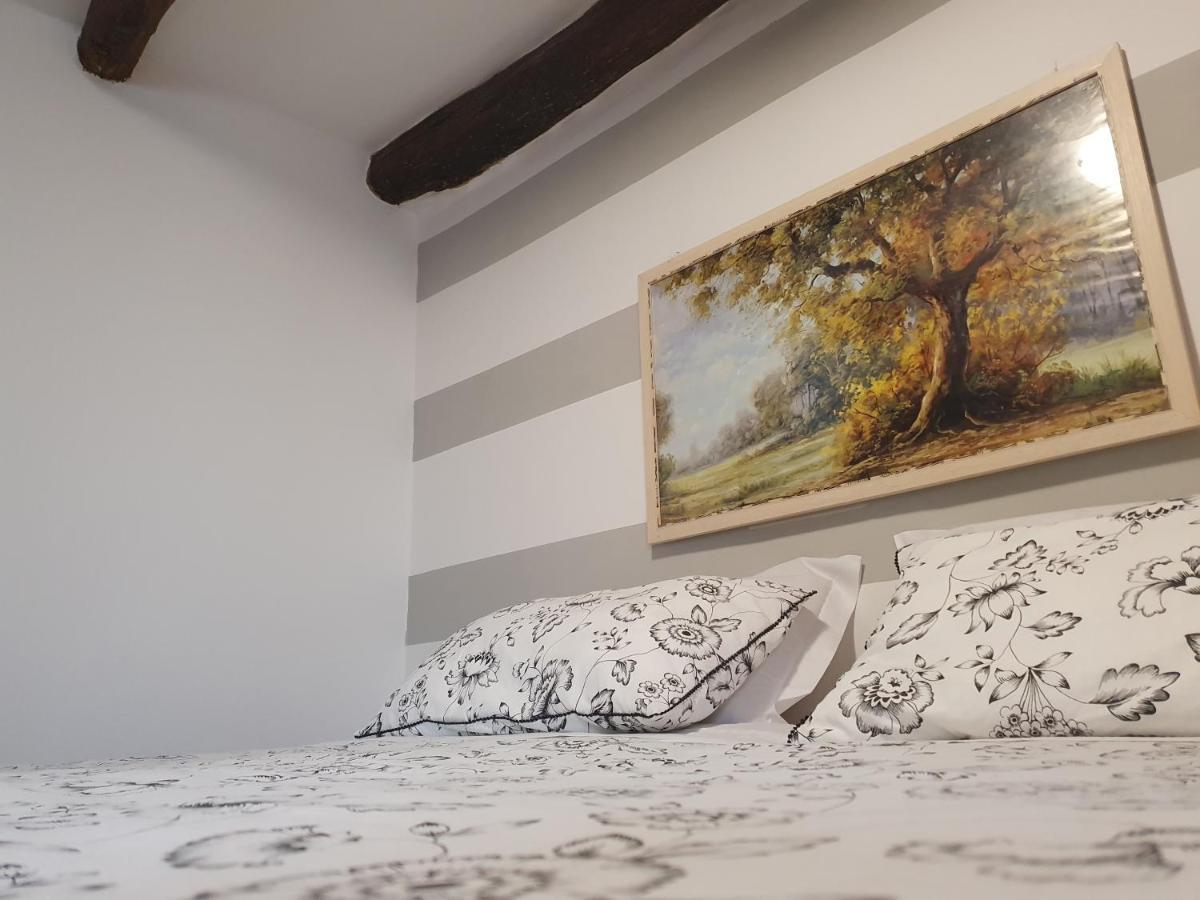 Appartamenti Vacanze E Camere Roccetta Fiorita Pettenasco Rum bild