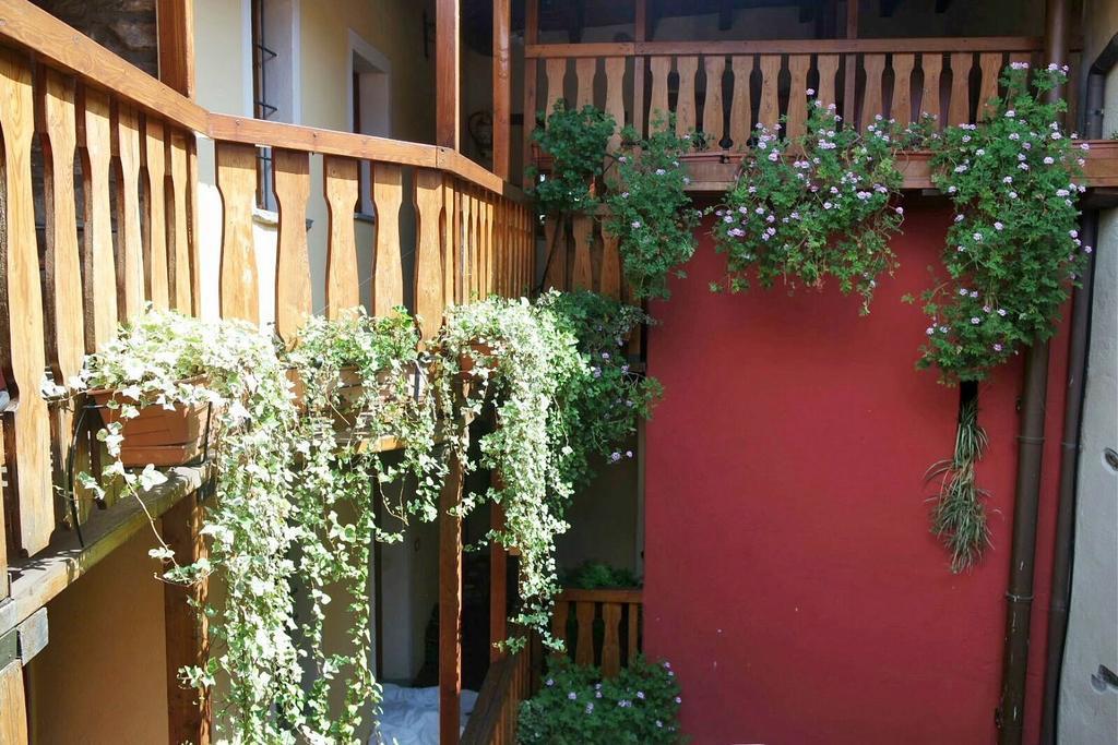 Appartamenti Vacanze E Camere Roccetta Fiorita Pettenasco Exteriör bild